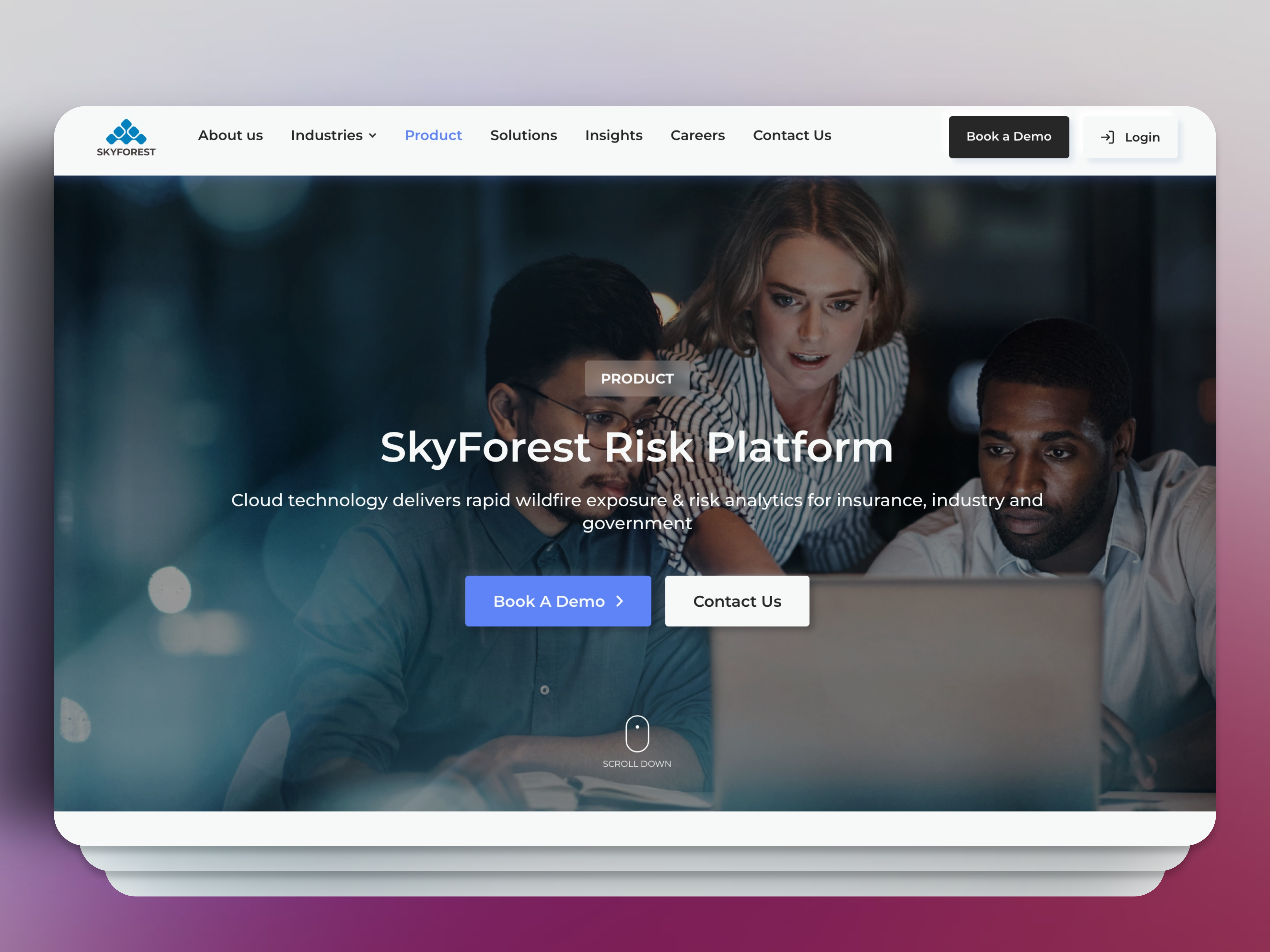 Skyforest WordPress website